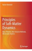 Principles of Soft-Matter Dynamics