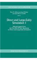 Direct and Large-Eddy Simulation I