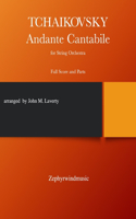 Andante Cantabile for String Orchestra