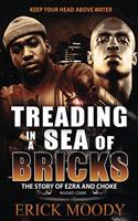 Treading In A Sea Of Bricks