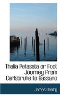 Thalia Petasata or Foot Journey from Carlsbruhe to Bassano