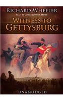 Witness to Gettysburg
