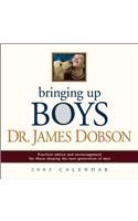 Bringing Up Boys Calendar: (Page-Per-Day Calendars)
