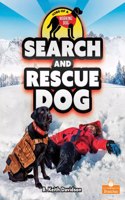 Search and Rescue Dog