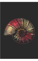 Snail Shell: Snails Notebook, Graph Paper (6 x 9 - 120 pages) Animal Themed Notebook for Daily Journal, Diary, and Gift