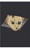 Cats are so cute