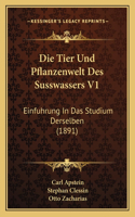 Die Tier Und Pflanzenwelt Des Susswassers V1