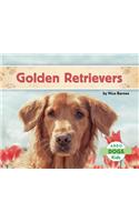 Golden Retrievers