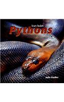 Pythons