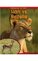 Lion Vs Gazelle