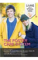 The Foster Care System