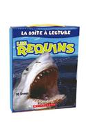 Les Requins - La Boîte À Lecture