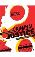 Introduction to Criminal Justice