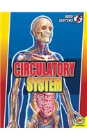 Circulatory System: (Body Systems)