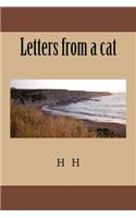 Letters from a cat