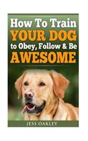 How To Train Your Dog To Obey, Follow & Be Awesome