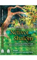 Netivot Shalom