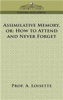 Assimilative Memory, or How to Attend and Never Forget: (English)