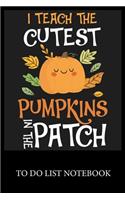 I Teach The Cutest Pumpkins In The Patch
