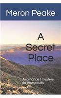 Secret Place: A romance mystery for new adults