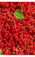 Do You Love Red Currant Berries? Journal: Take Notes, Write Down Memories in this 150 Page Lined Journal