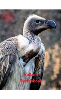 Vulture Sketchbook: (Sketchbook for Teens)