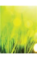 In the Grass Sketchbook: Blank Art Sketch Pad Journal Notebook(52 Go Green 150 Sketch)