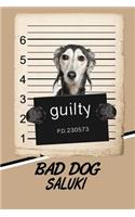 Bad Dog Saluki: Blank Cookbook Recipes & Notes Featuring 120 Pages 6x9