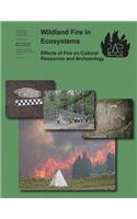 Wildland Fire in Ecosystems