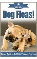 Dog Fleas!