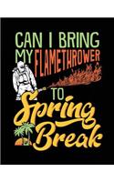 Can I Bring My Flamethrower To Spring Break