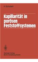 Kapillarität in porösen Feststoffsystemen