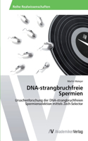 DNA-strangbruchfreie Spermien