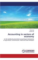 Accounting in sectors of economy