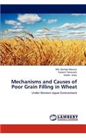 Mechanisms and Causes of Poor Grain Filling in Wheat