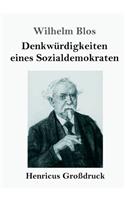Denkwürdigkeiten eines Sozialdemokraten (Großdruck)
