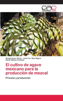 cultivo de agave mexicano para la producción de mezcal