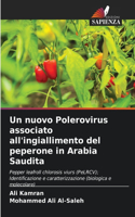 nuovo Polerovirus associato all'ingiallimento del peperone in Arabia Saudita