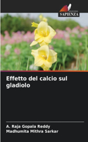 Effetto del calcio sul gladiolo