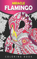 Miracle Flamingo Coloring Book
