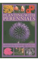 Planting with Perennials: How to Create a Beautiful Garden with Versatile Perennials