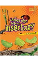 ¿sabes Algo Sobre Insectos? (Do You Know about Insects?)