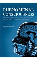 Phenomenal Consciousness: Understanding the Relation between Experience and Neural Processes in the Brain