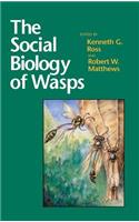 Social Biology of Wasps