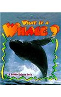 What Is a Whale?