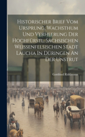 Historischer Brief Vom Ursprung, Wachsthum Und Verheerung Der Hochfürstl. Sächsischen Weissenfelsischen Stadt Laucha In Düringen An Der Unstrut