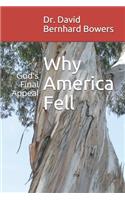 Why America Fell