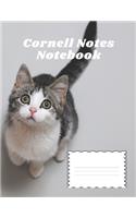 Cornell Notes Notebook: College Ruled Composition Book for Students, Writers & School Note Taking. 120 White Pages 8.5x11 inch