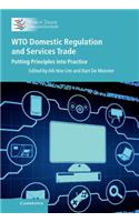 WTO Domestic Regulation and Services Trade