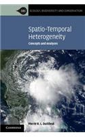 Spatio-Temporal Heterogeneity